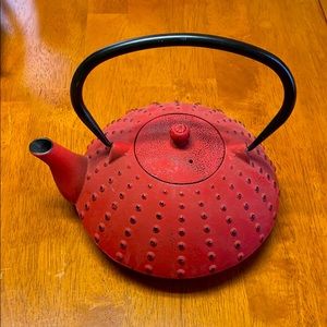 Brand New Beautiful Cast Iron Teapot w/ screen